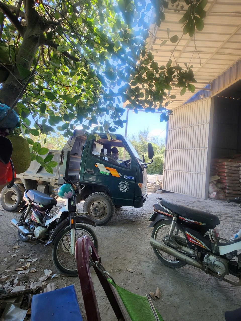 Tôn nhựa xanh